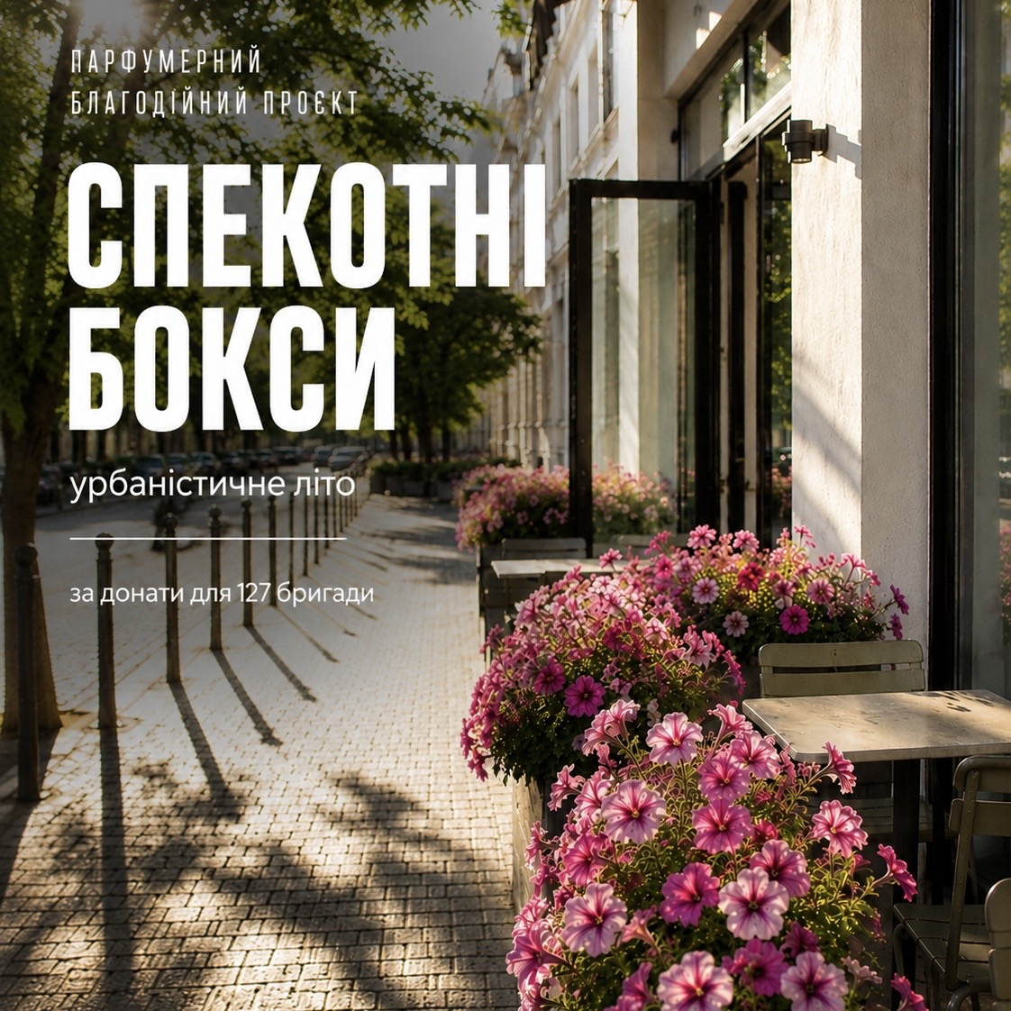 Спекотні бокси
